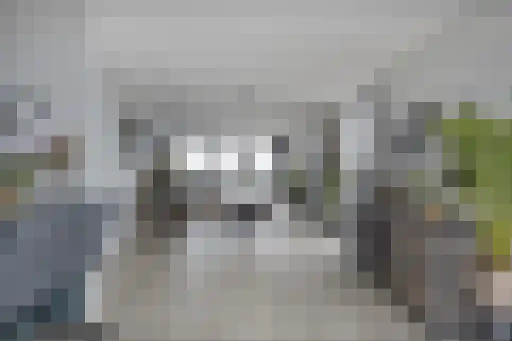 Beemdkroon 208 Bergen op Zoom thumbnail 20