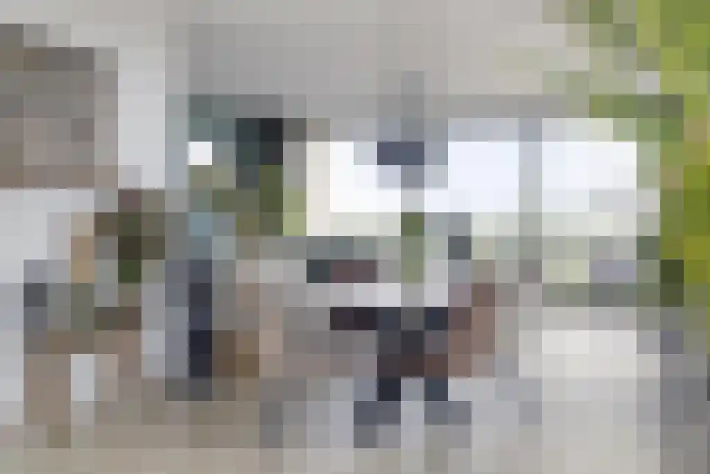 Beemdkroon 208 Bergen op Zoom thumbnail 21