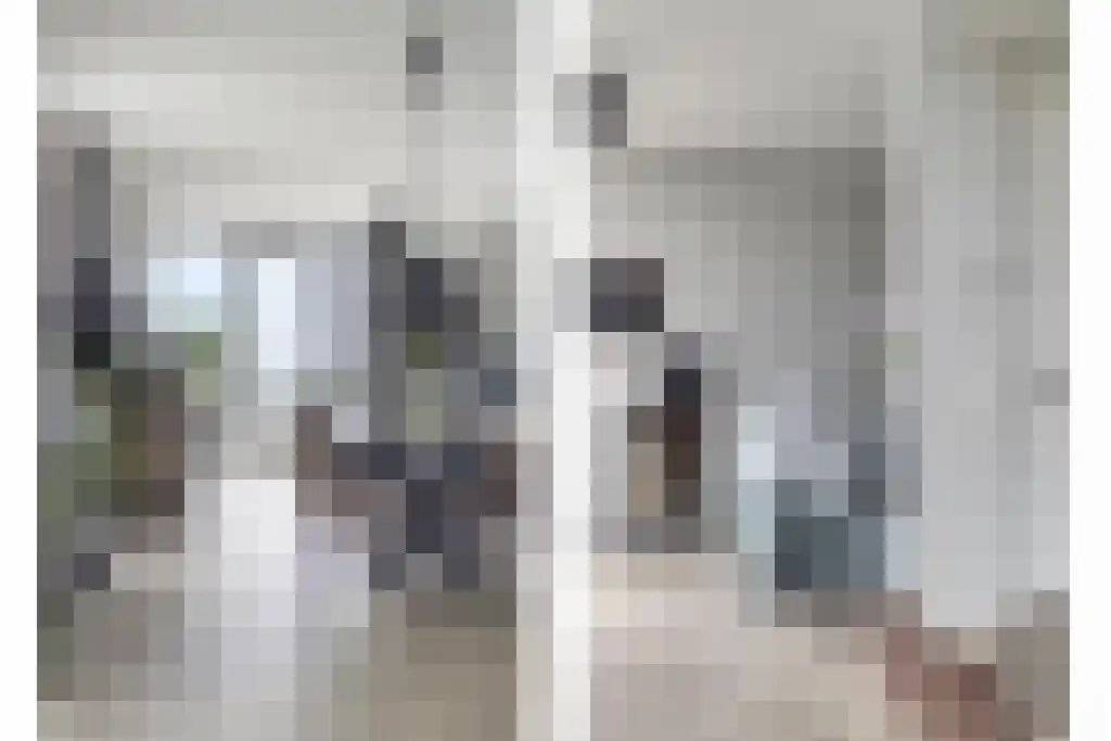 Beemdkroon 208 Bergen op Zoom thumbnail 22