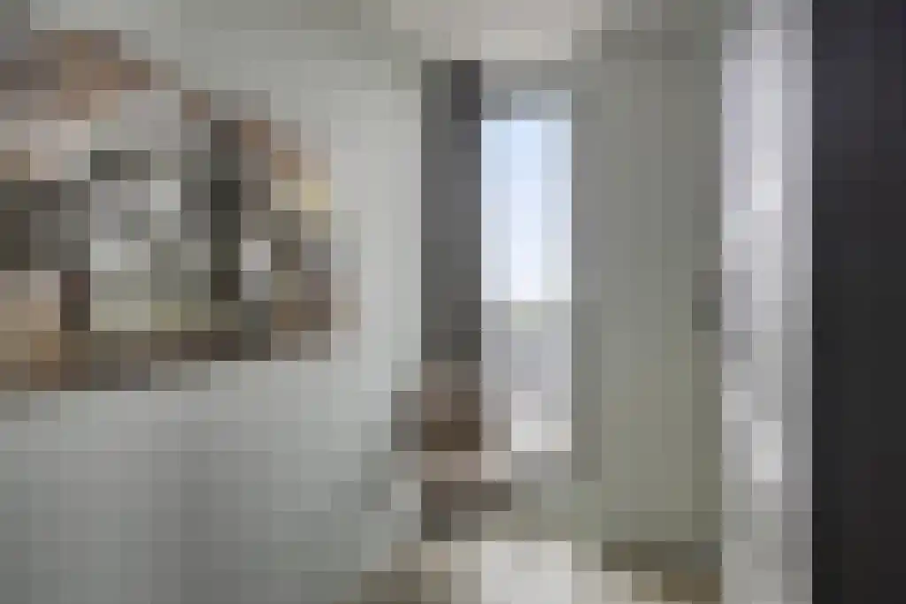 Beemdkroon 208 Bergen op Zoom thumbnail 31