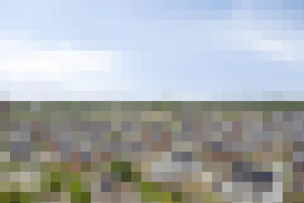 Beemdkroon 208 Bergen op Zoom thumbnail 35