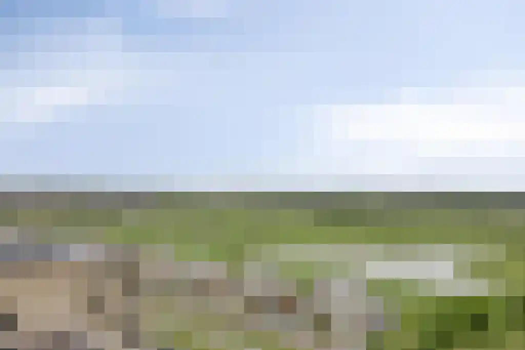 Beemdkroon 208 Bergen op Zoom thumbnail 36