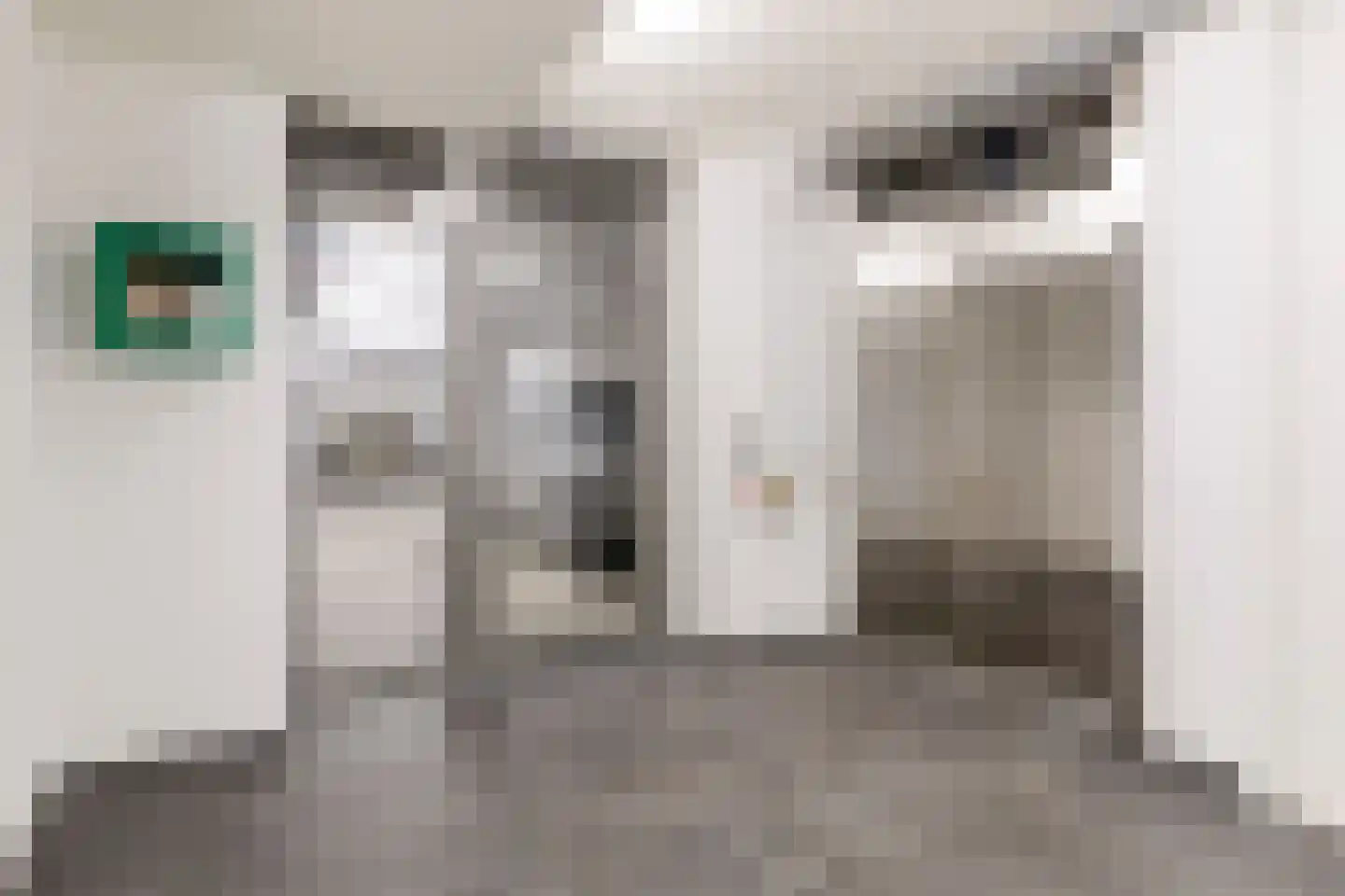 Beemdkroon 214 Bergen op Zoom thumbnail 12