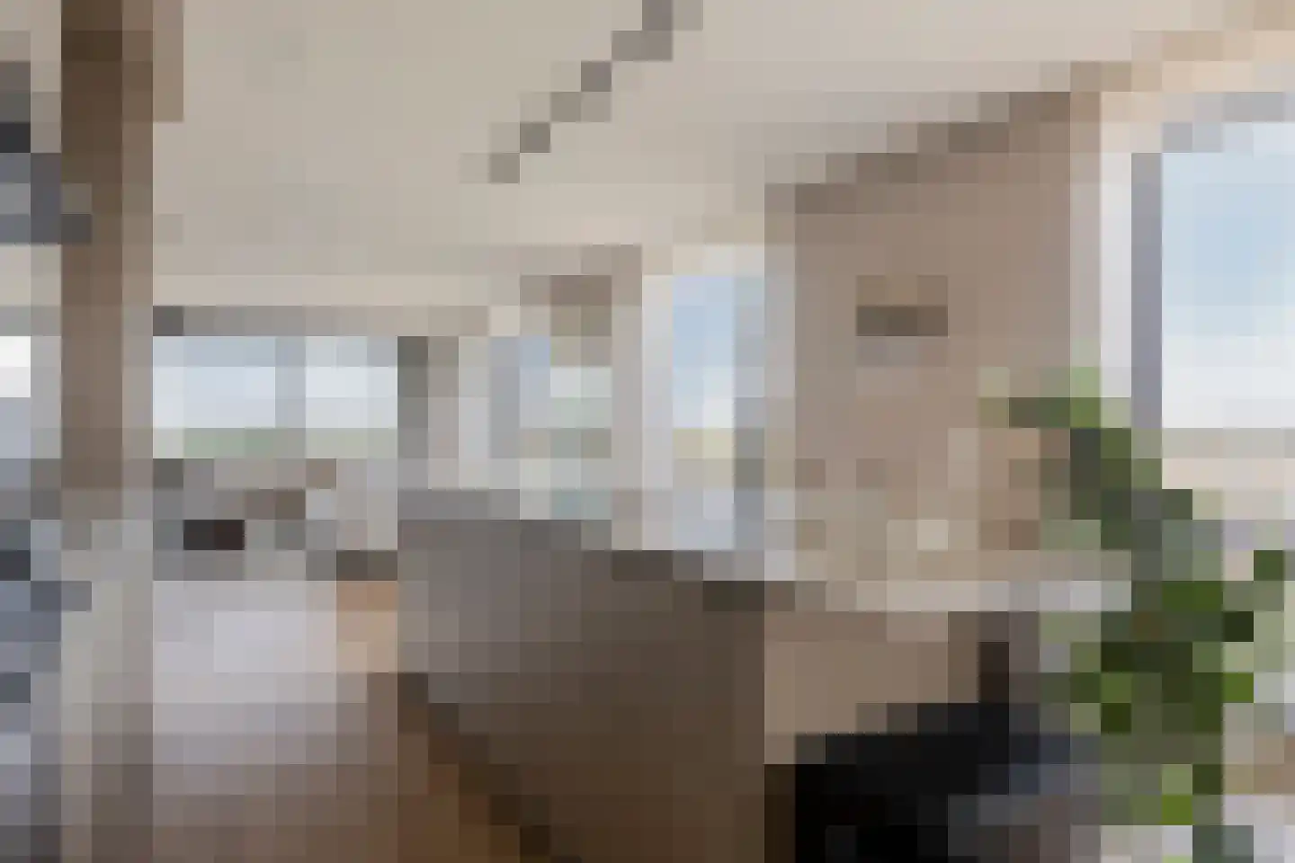 Beemdkroon 214 Bergen op Zoom thumbnail 27
