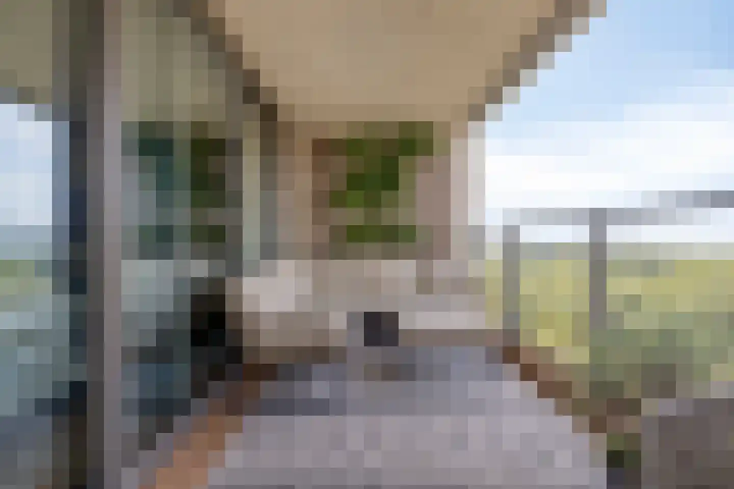 Beemdkroon 214 Bergen op Zoom thumbnail 29