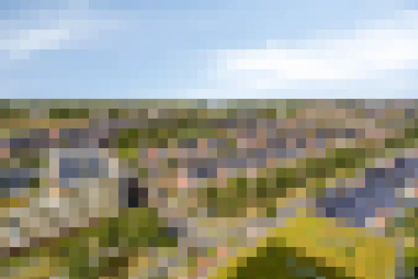 Beemdkroon 214 Bergen op Zoom thumbnail 43