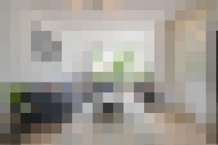 Beemdkroon 32 Tiel thumbnail 13