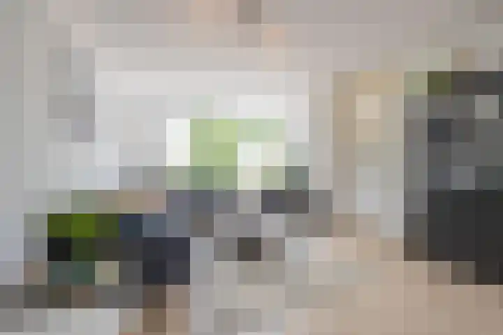 Beemdkroon 32 Tiel thumbnail 14