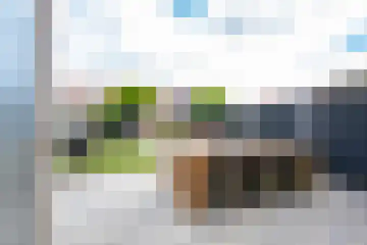 Beemdkroon 32 Tiel thumbnail 24