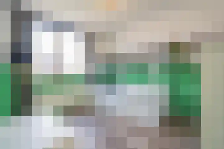 Beemdkroon 32 Tiel thumbnail 40