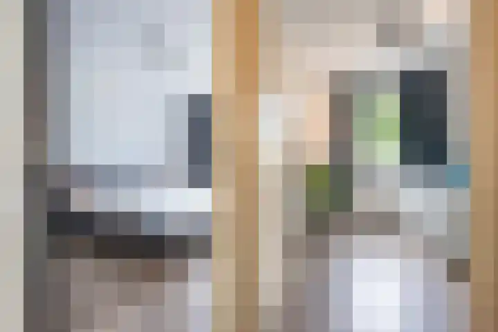 Beemdkroon 32 Tiel thumbnail 44