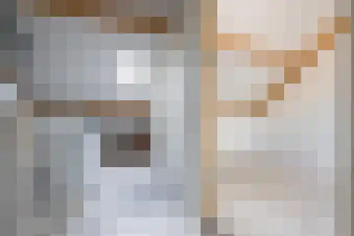 Beemdkroon 32 Tiel thumbnail 48