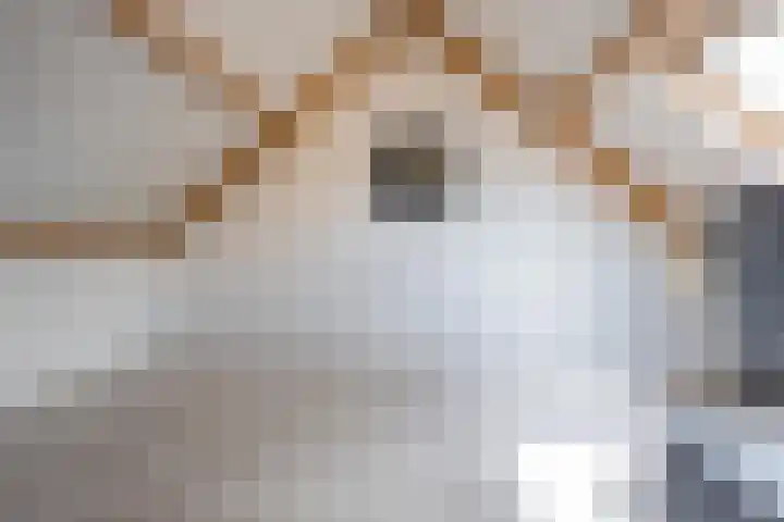 Beemdkroon 32 Tiel thumbnail 49