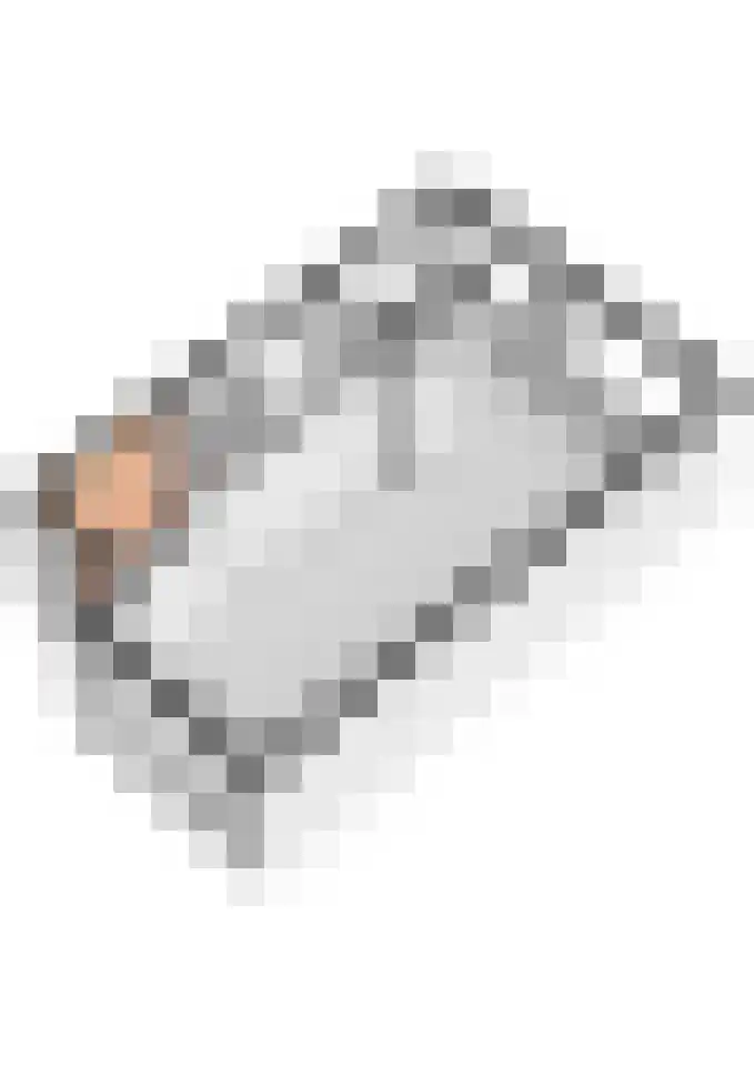 Beemdkroon 32 Tiel thumbnail 54