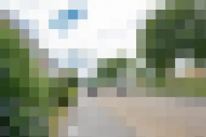 Beemdkroon 32 Tiel thumbnail 6
