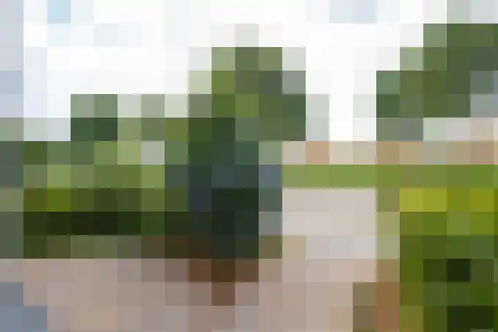 Beemdkroon 32 Tiel thumbnail 8