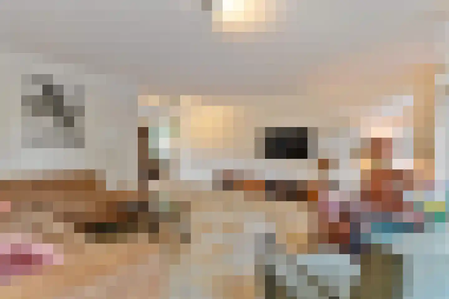 Beemdkroon 35 Hendrik-Ido-Ambacht thumbnail 10