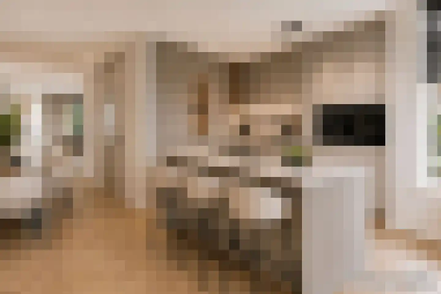 Beemdkroon 35 Hendrik-Ido-Ambacht thumbnail 19