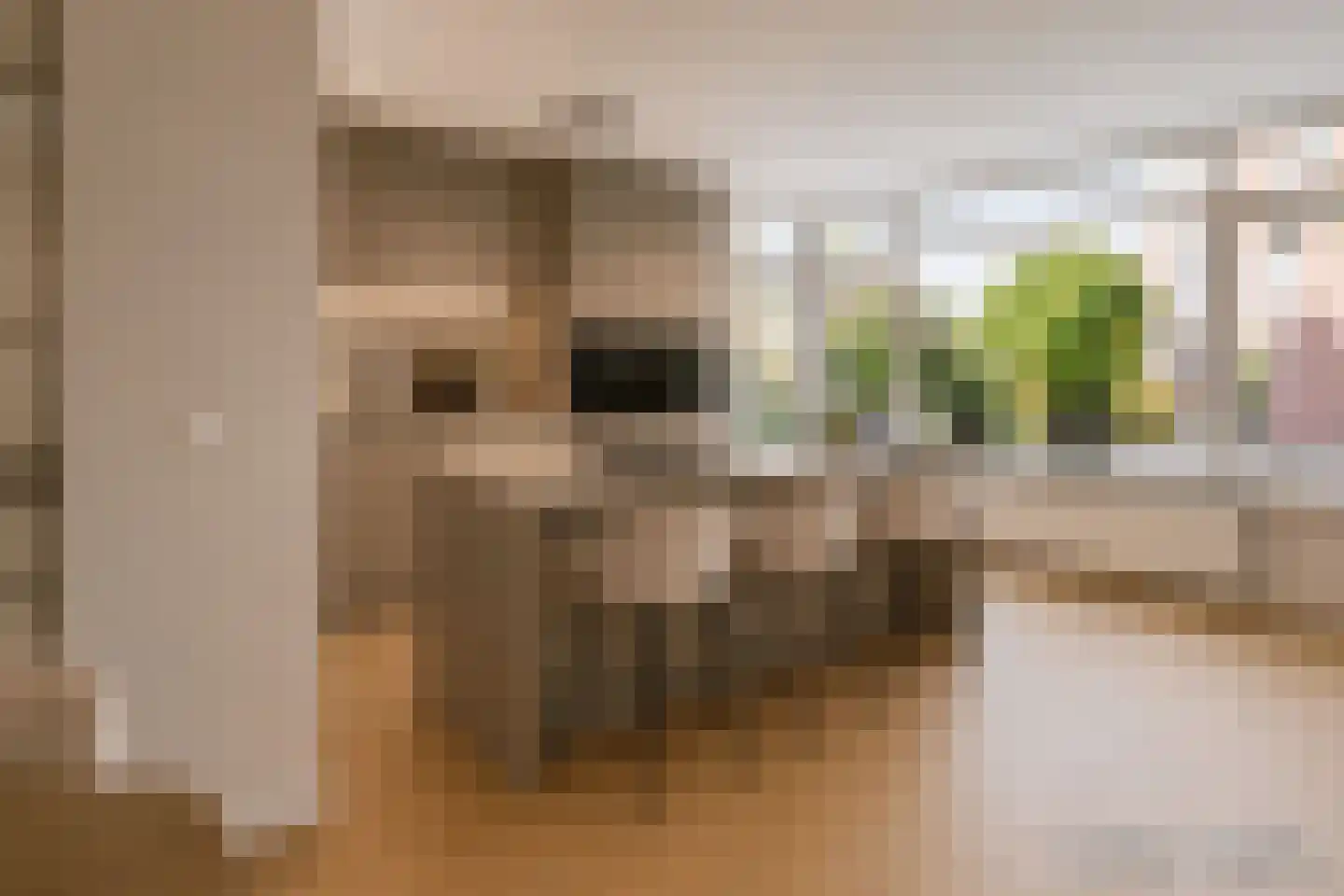 Beemdkroon 35 Hendrik-Ido-Ambacht thumbnail 20