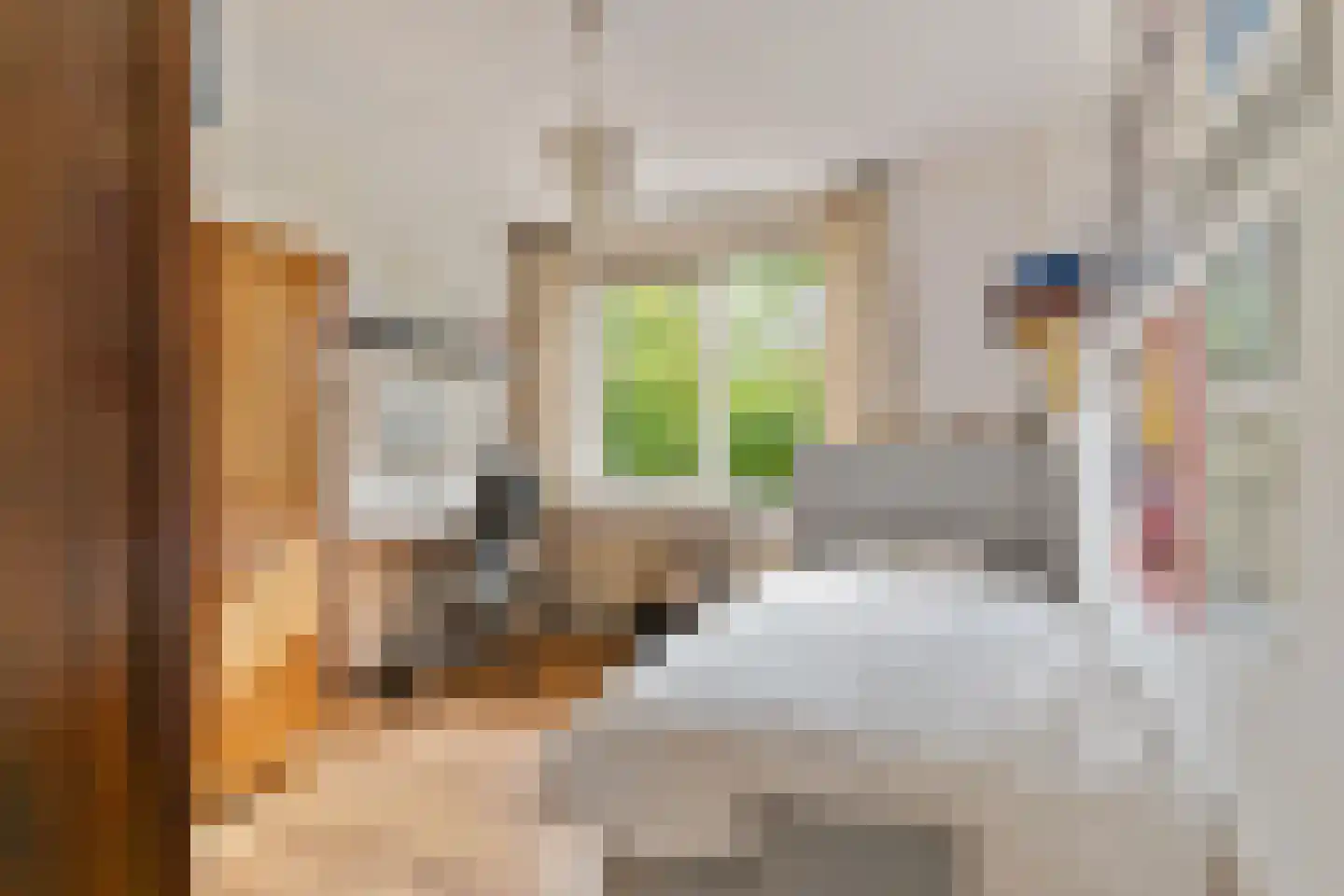Beemdkroon 35 Hendrik-Ido-Ambacht thumbnail 30