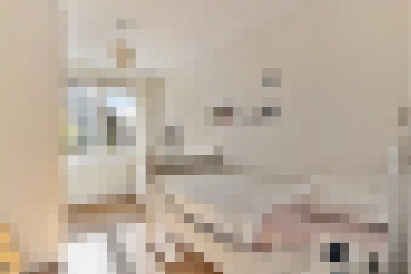 Beemdkroon 35 Hendrik-Ido-Ambacht thumbnail 33