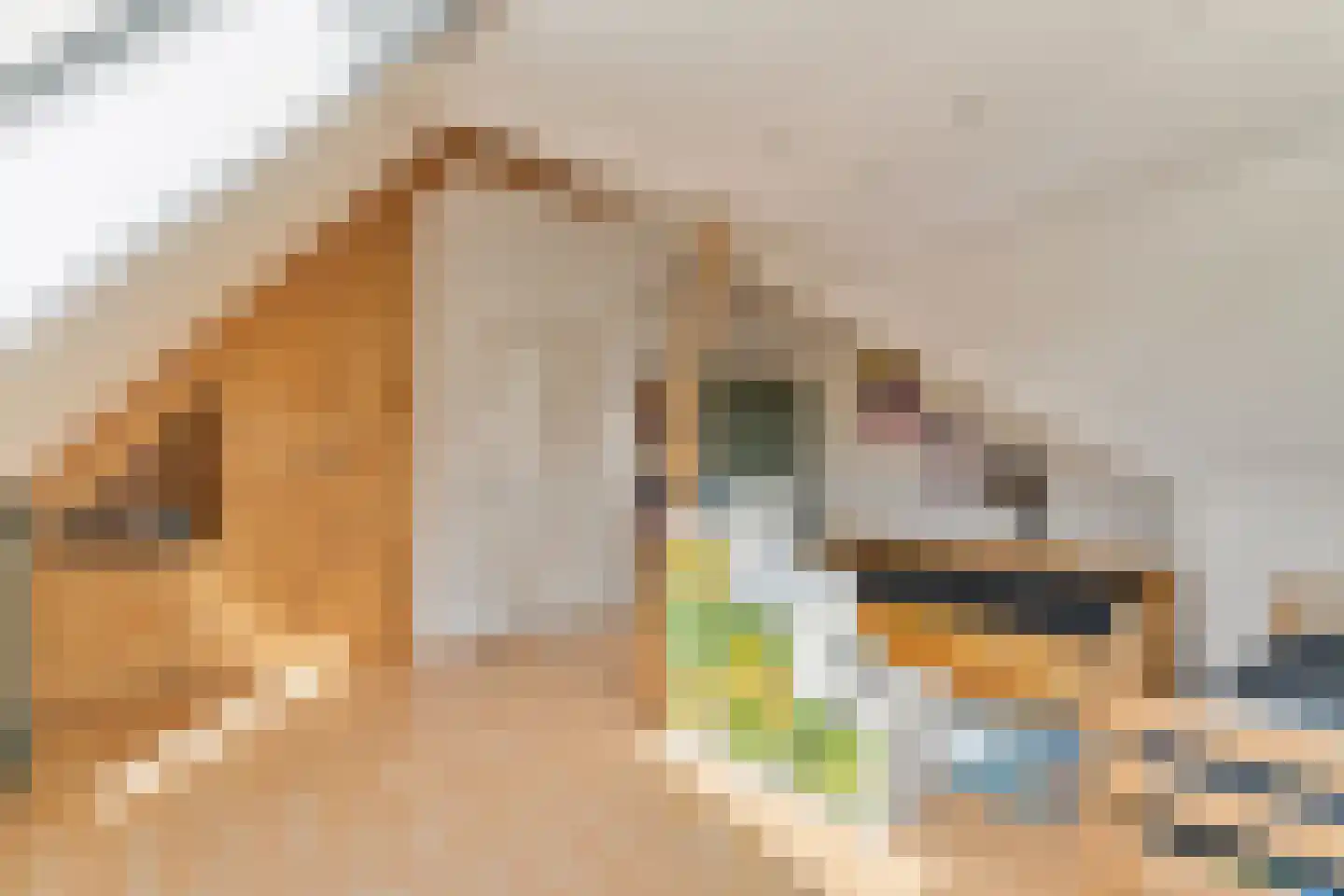 Beemdkroon 35 Hendrik-Ido-Ambacht thumbnail 36