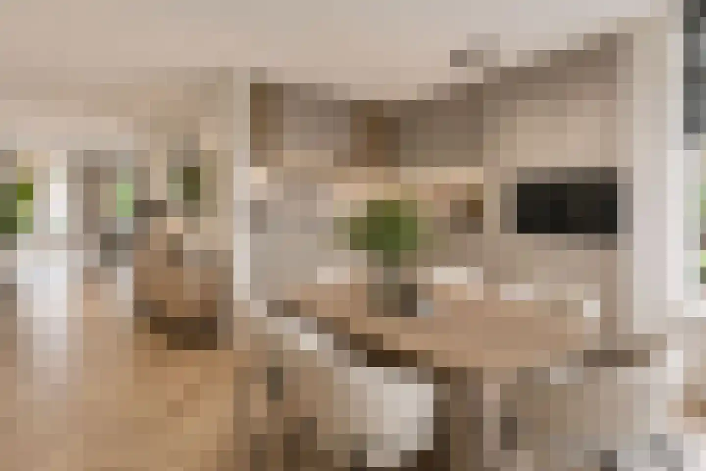 Beemdkroon 35 Hendrik-Ido-Ambacht thumbnail 6