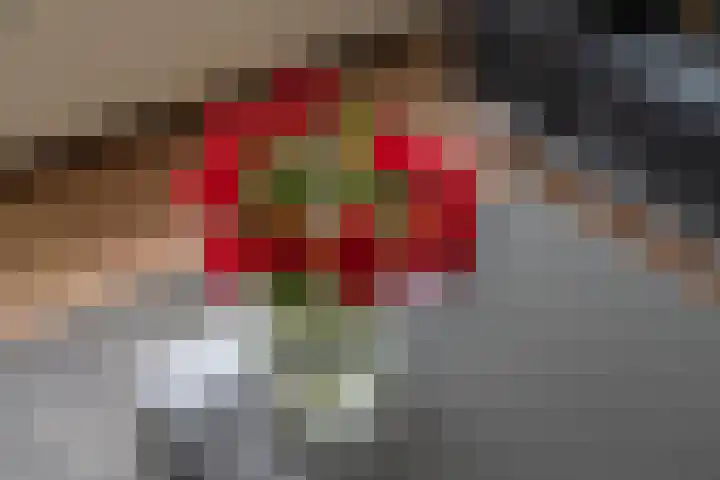 Beemdkroon 50 Tiel thumbnail 17