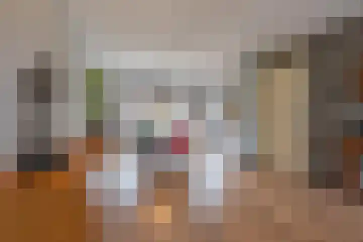 Beemdkroon 50 Tiel thumbnail 20