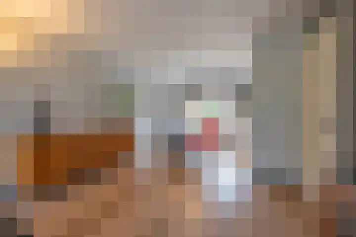 Beemdkroon 50 Tiel thumbnail 21