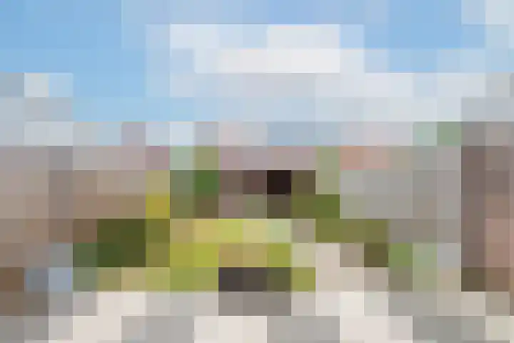 Beemdkroon 50 Tiel thumbnail 29
