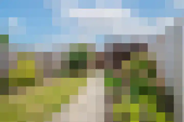 Beemdkroon 50 Tiel thumbnail 32