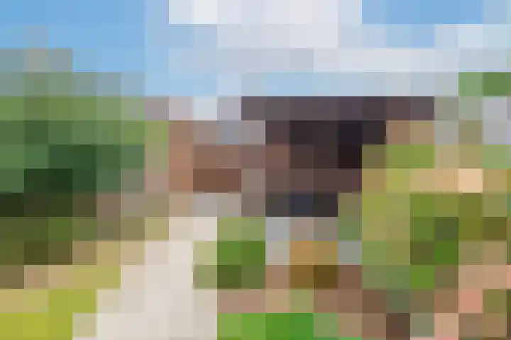 Beemdkroon 50 Tiel thumbnail 33