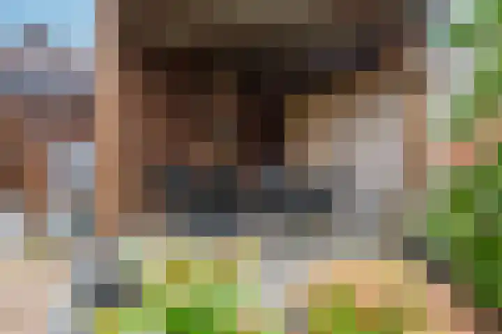 Beemdkroon 50 Tiel thumbnail 34