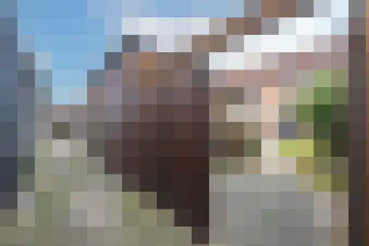 Beemdkroon 50 Tiel thumbnail 36