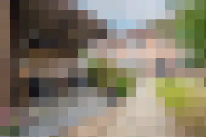 Beemdkroon 50 Tiel thumbnail 38