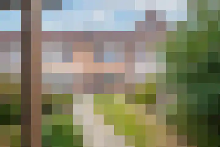 Beemdkroon 50 Tiel thumbnail 39