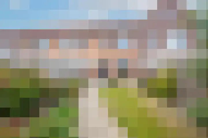 Beemdkroon 50 Tiel thumbnail 40