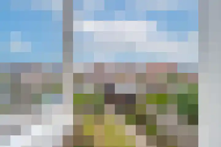Beemdkroon 50 Tiel thumbnail 47
