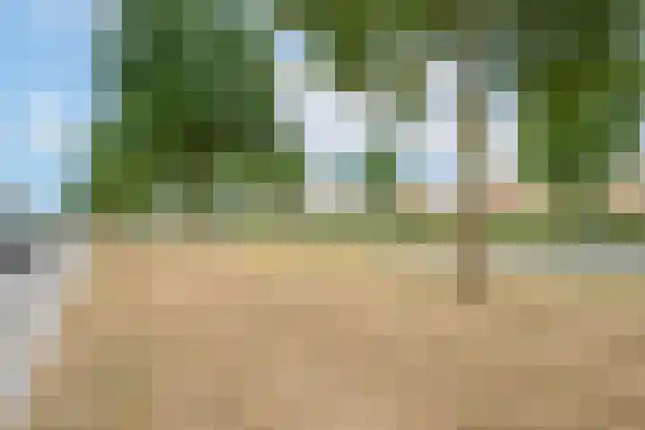 Beemdkroon 50 Tiel thumbnail 5