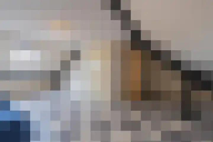 Beemdkroon 50 Tiel thumbnail 56