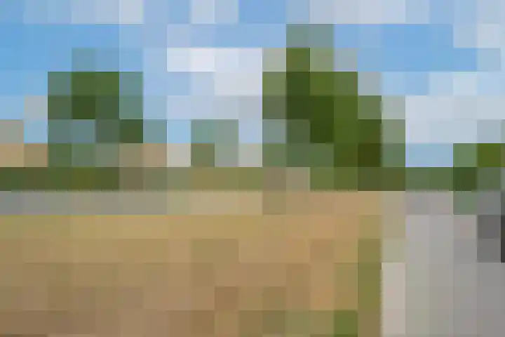 Beemdkroon 50 Tiel thumbnail 6