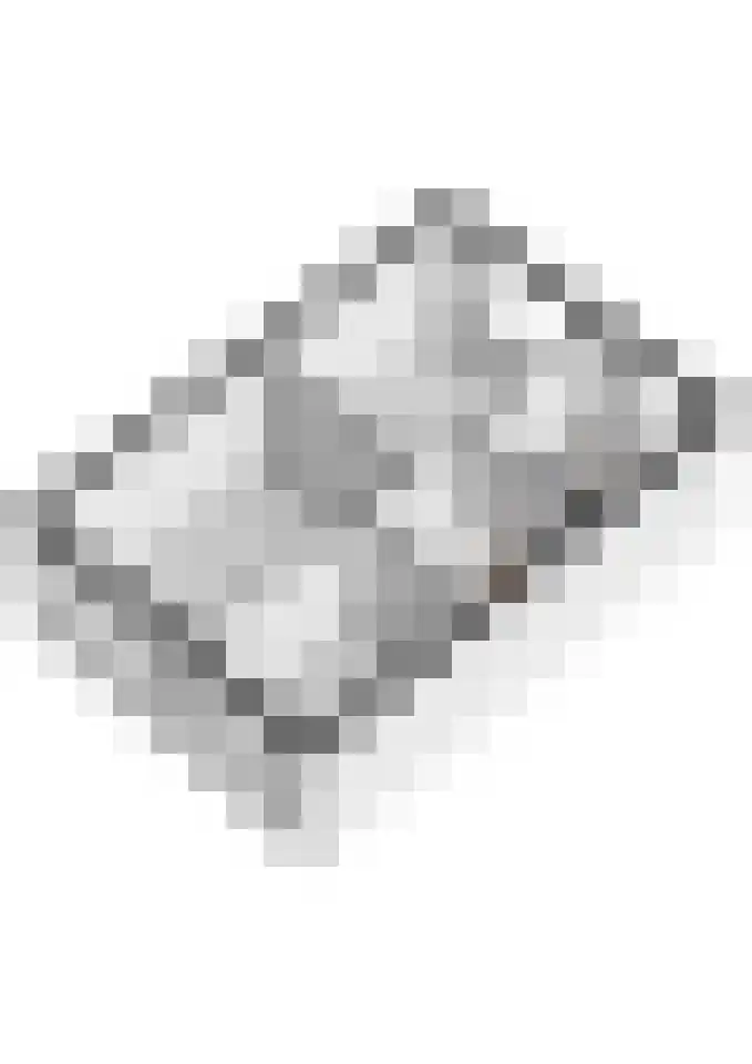 Beemdkroon 50 Tiel thumbnail 61