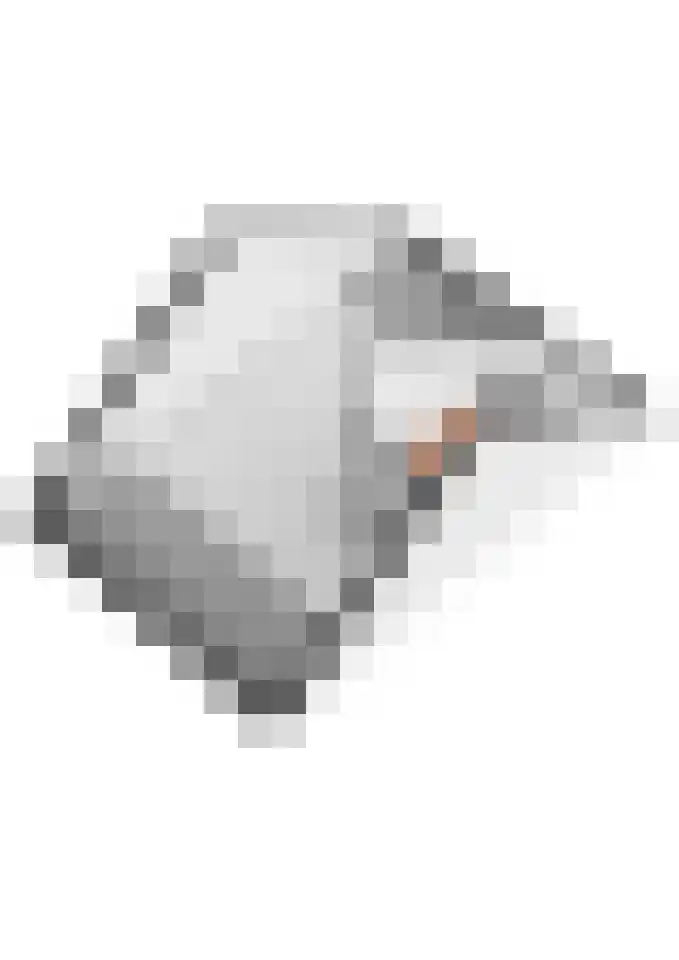 Beemdkroon 50 Tiel thumbnail 63