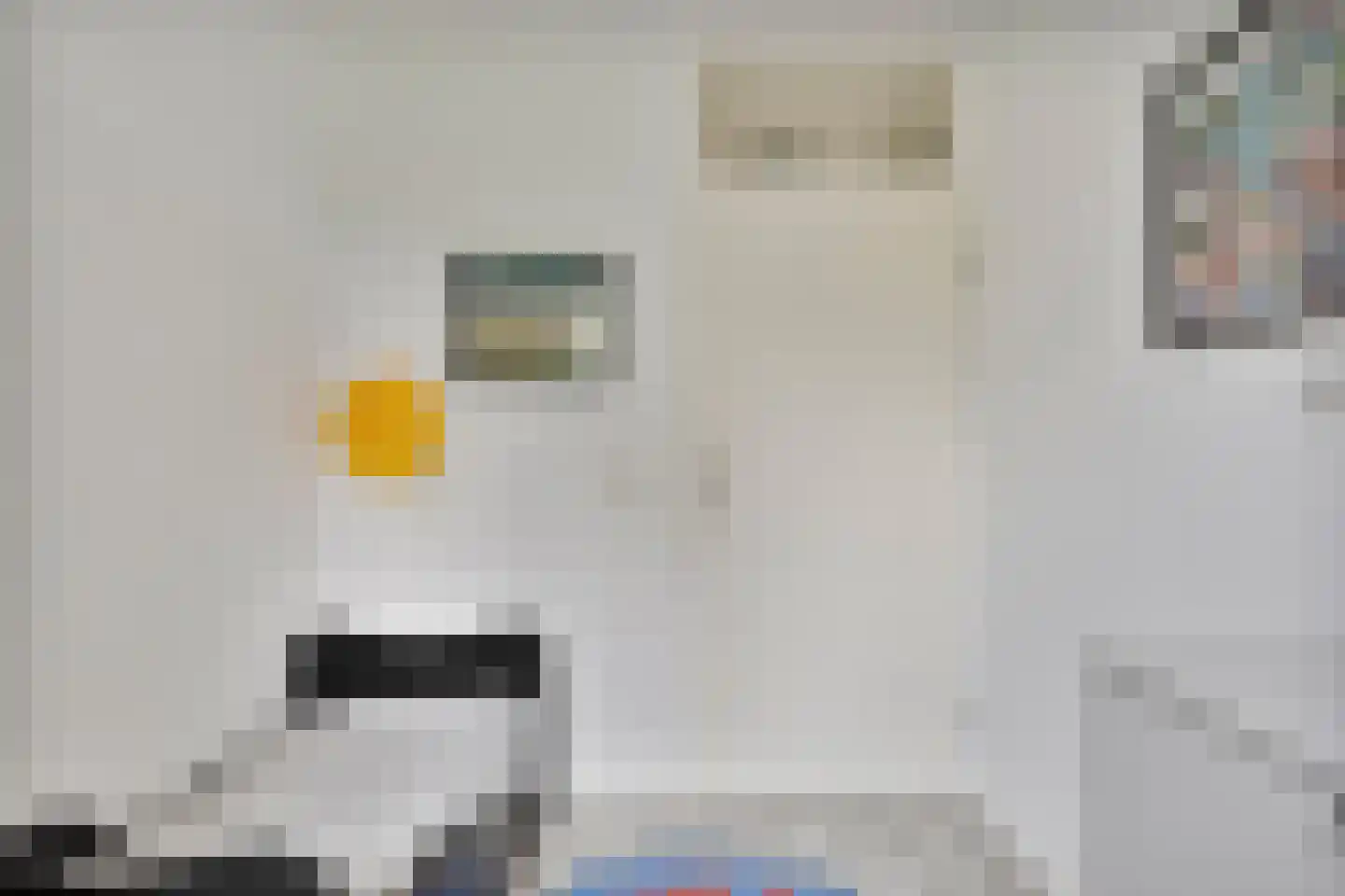 Beemdkroon 60 Tiel thumbnail 18