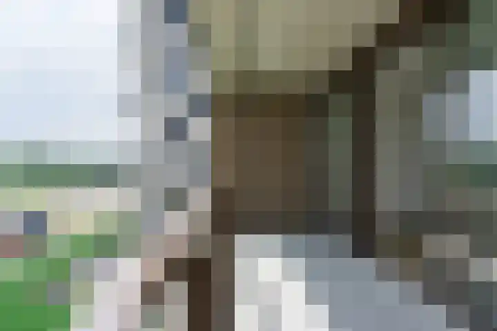 Beemdkroon 70 Bergen op Zoom thumbnail 11