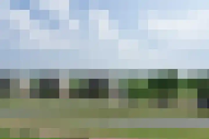 Beemdkroon 70 Bergen op Zoom thumbnail 13