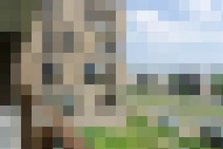 Beemdkroon 70 Bergen op Zoom thumbnail 14