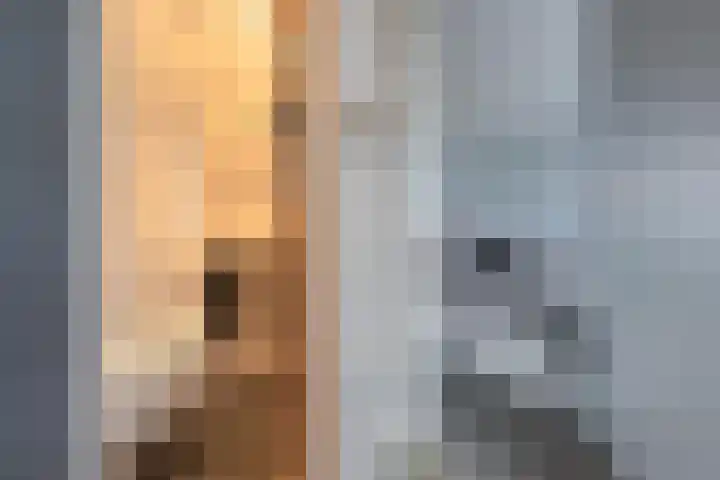 Beemdkroon 74 Tiel thumbnail 13