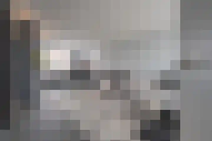 Beemdkroon 74 Tiel thumbnail 14